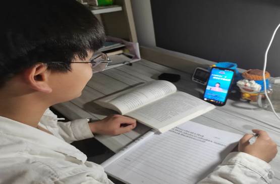 人在玩电脑描述已自动生成